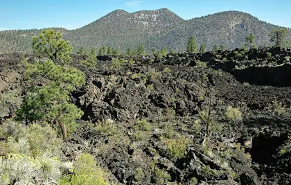 O'Leary Peak