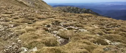 Carruthers Peak