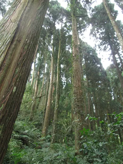 Pilishan (霹靂山)