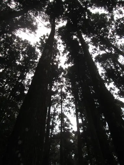 Guanglunshan (光崙山)