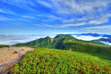 大丹生山