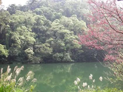 Shiguikengshan (石龜坑山)