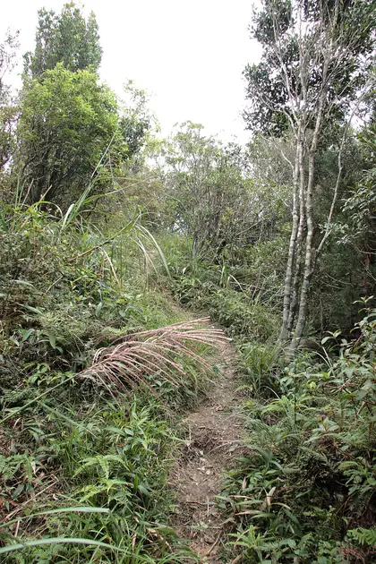 Shitoushanqianfeng (獅頭山前峰)