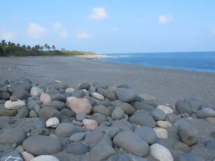 Shuimuding (水母丁)