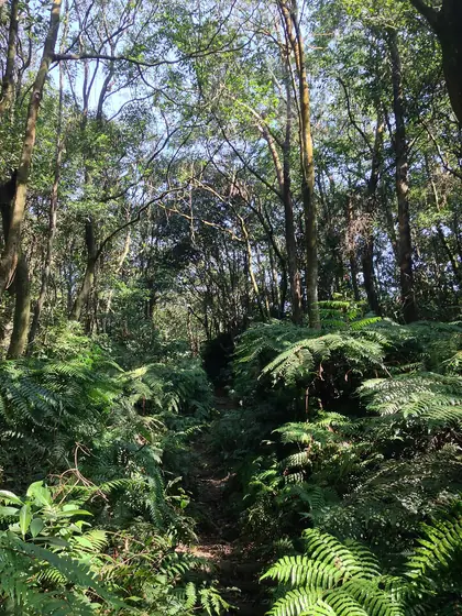 Bishan (碧山)