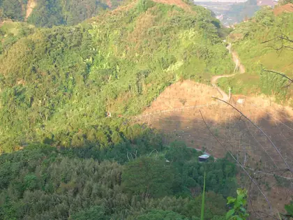 Damaopushan (大茅埔山)