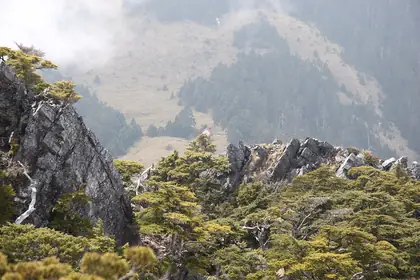 新達山