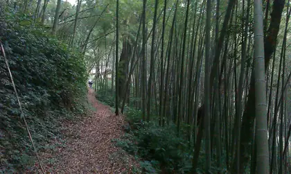 Motianling (摩天嶺)