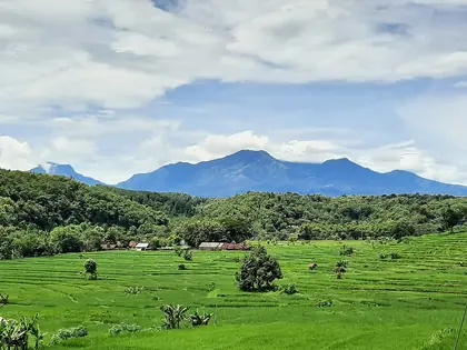 Mount Wilis (Gunung Wilis)