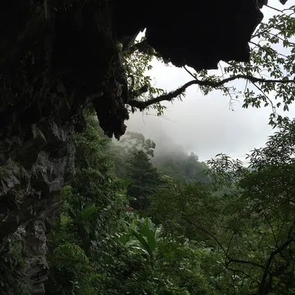 Doi Pha Tang (ดอยผาตั้ง)