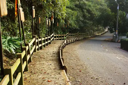 慈濟山