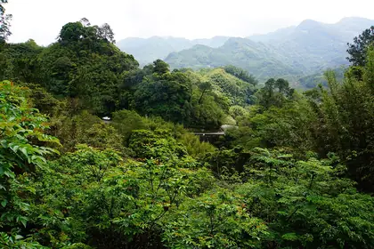 十三分山東