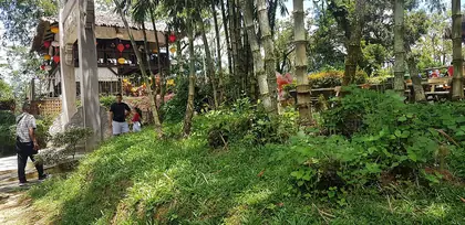 Bukit Batu