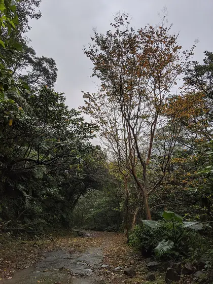 Mt. Xiaoson (小嵩山)