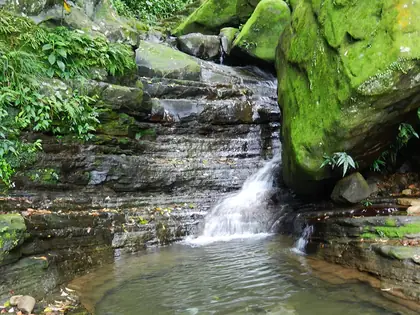Jiadongjiao (茄苳腳)