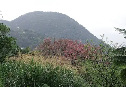Jianshan (尖山)