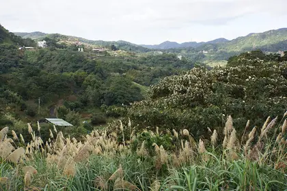 Yunhaishan (雲海山)