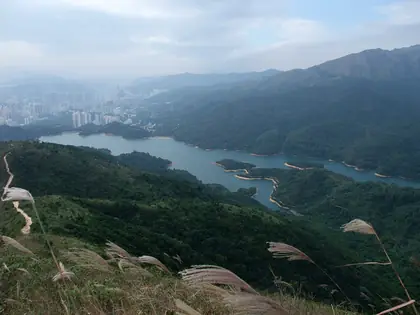 Needle Hill (針山 Needle Hill)