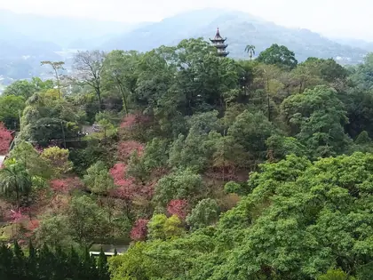 玖玖山