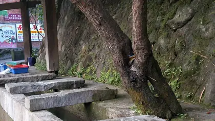 南庄山