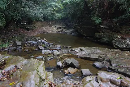 桃米坑山