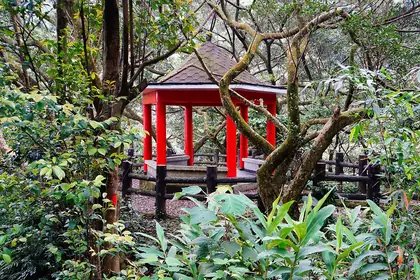 內西勢坑山