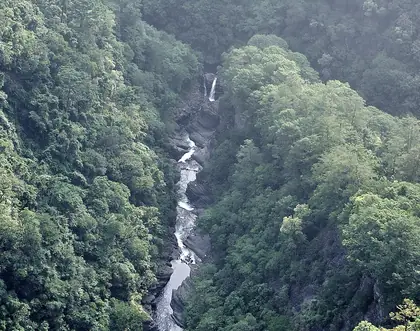 Dongtaiyehanshan (東泰野寒山)