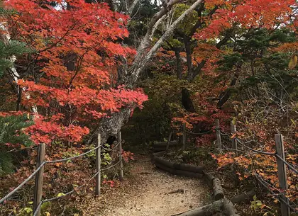 끝청