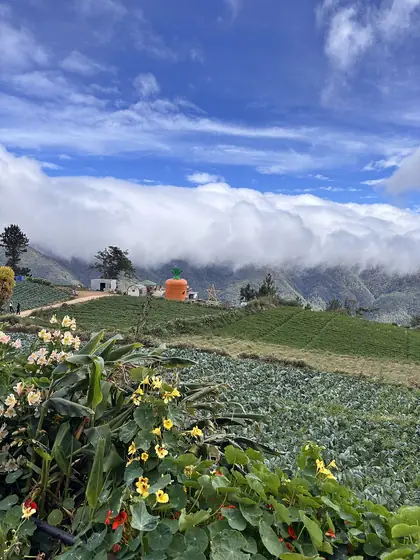 Mount Libung