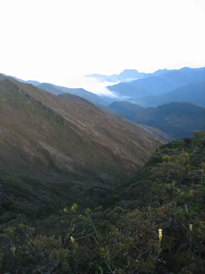 Mount Tahan (Gunung Tahan)