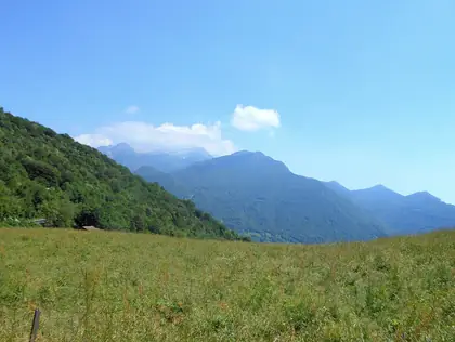 Alpine Hill