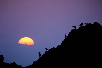 Xiangaishan (相愛山)