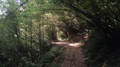 Mt. Erzi (二子山)