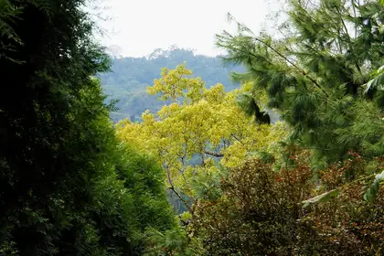Xiangshan (象山)