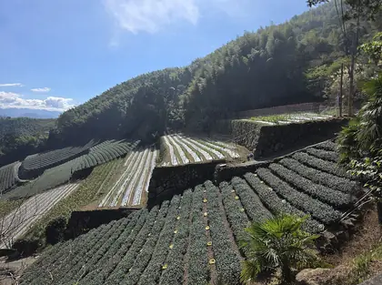 Xidingshan (隙頂山)