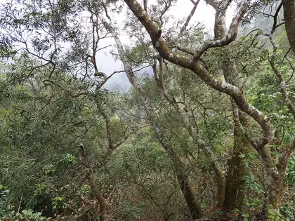 Xipingshan (西平山)
