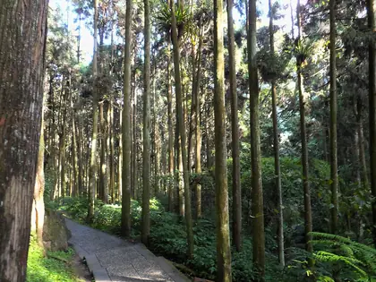 南鳳凰山