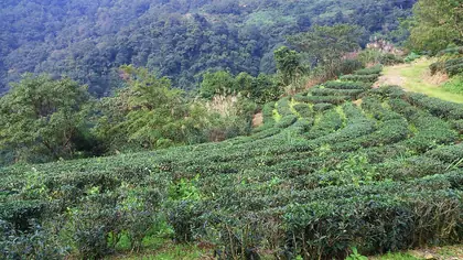 Nanquantoumushanjidianfeng (南拳頭母山基點峰)