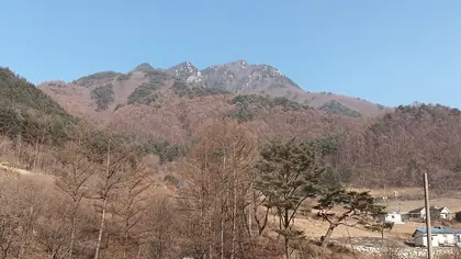 장산