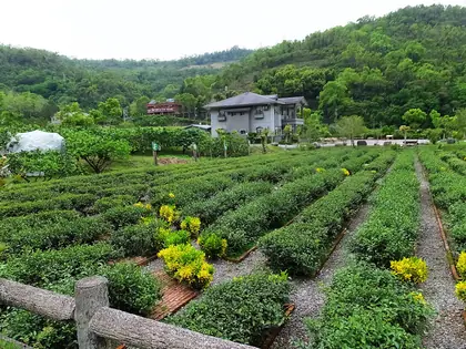 舊寮山北峰