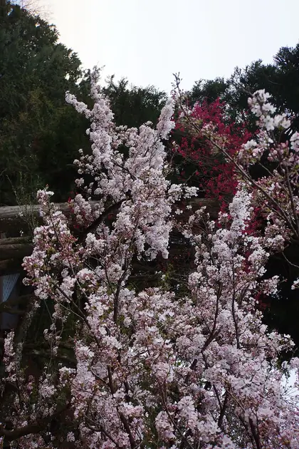 Zhushan (祝山)